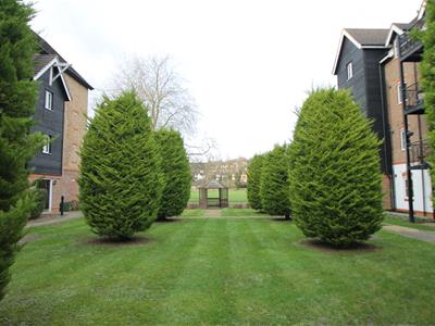Picture 14